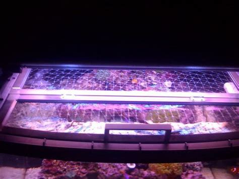 an aquarium filled with lots of different types of fish and corals in the dark