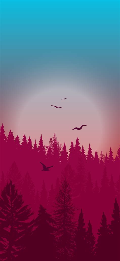 🔥 Free download Beautiful wallpaper aesthetic forest night [2250x4872] for your Desktop, Mobile ...
