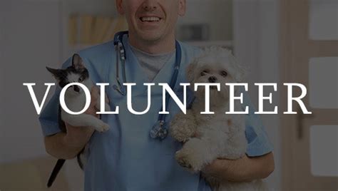 Volunteer - Herkimer County Humane Society