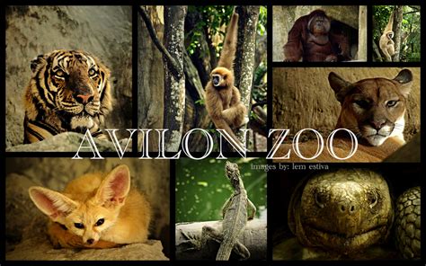 Avilon Zoo | Dental Tourism Philippines