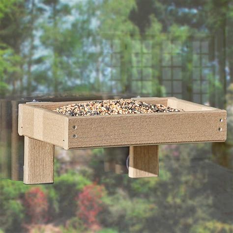 Woodlook Window Tray Bird Feeder | Thompson & Morgan