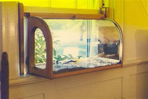 Amazon.com : Best Selection-aviarium In-house Window Sill Bird Feeder ...