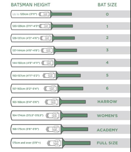 Cricket Bat Dimensions