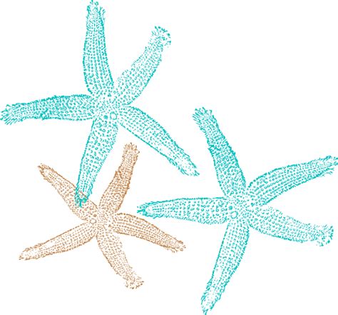 Seashells clipart shell starfish, Picture #2018255 seashells clipart shell starfish