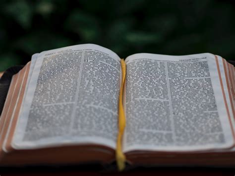 an open bible outdoors, religious text 4k HD Wallpaper