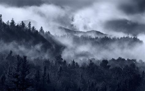 Black Cloud Forest Wallpapers - Top Free Black Cloud Forest Backgrounds - WallpaperAccess