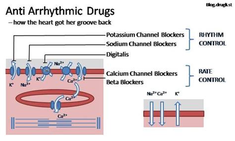 Dr Han Naung @ Henry Han : Electrophysiology and Heart Rhythm : Mechanisms of Antiarrhythmic Drugs