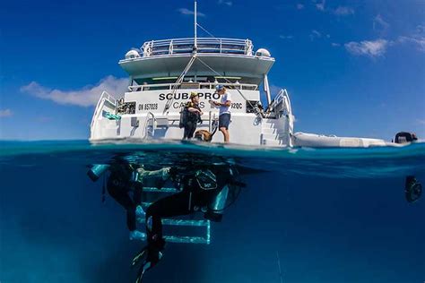 Great Barrier Reef Tours from Cairns & Port Douglas - Fitzroy Island