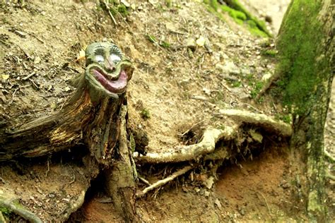 Free Images : wood, trunk, old, log, mouth, eyes, creepy, gnarled, tree ...