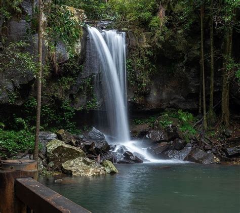 The 5 Most Stunning Waterfalls in the Gold Coast Hinterland