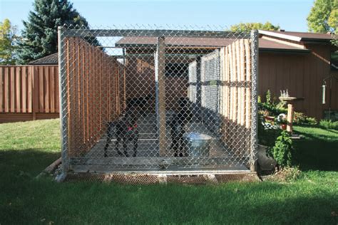 DIY: Building the Perfect Dog Kennel - Gun Dog