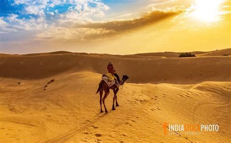 Tourist On Camel Safari At Thar Desert Jaisalmer Rajasthan At Sunset | India Stock Photo