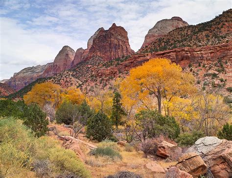 National Wilderness Month | Zion National Park Zion National… | Flickr