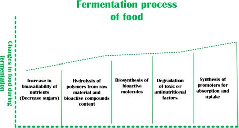 Fermentation process of food. | Download Scientific Diagram