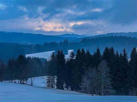 Wilderness in Bavarian Forest