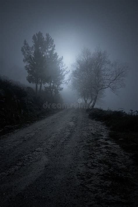 Mountain road at night stock image. Image of curve, asphalt - 30239463