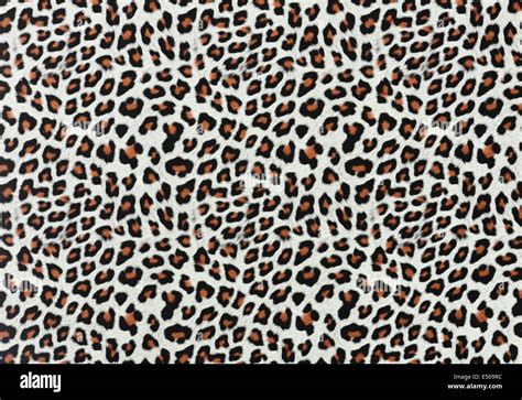 Leopard Spots Background Stock Photo - Alamy