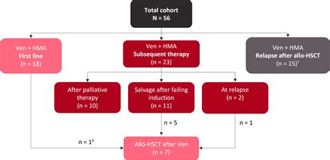 Outcomes with venetoclax in treating AML in real-world settings