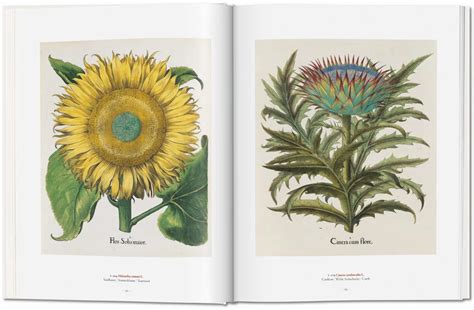 A Garden Eden. Masterpieces of Botanical Illustration. TASCHEN Books