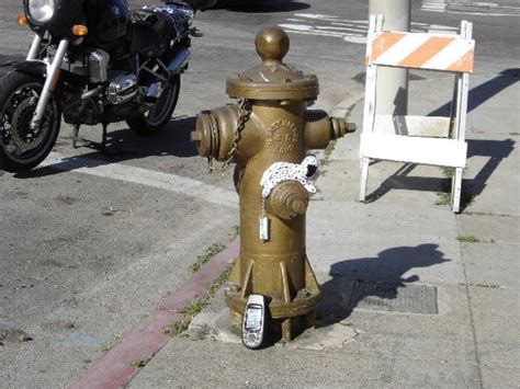 San Francisco's Golden Fire Hydrant - Painted Hydrants on Waymarking.com