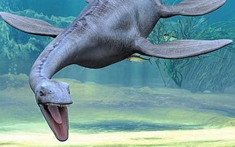 Remains of 200m year-old Loch Ness-style creature found - Telegraph