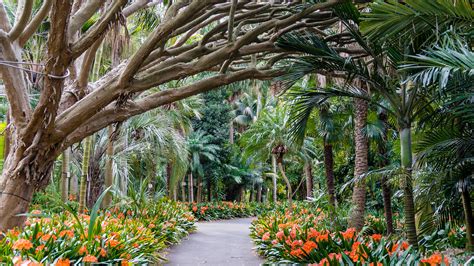 Sydney Royal Botanic Gardens | Club WyndhamClub Wyndham