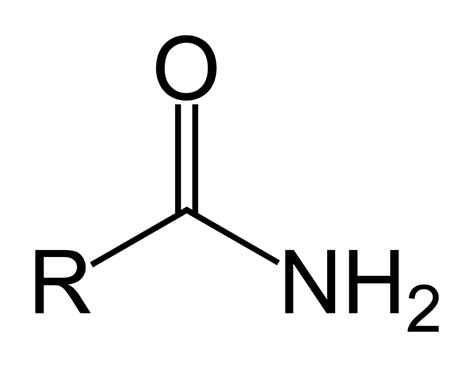 Functional Groups Amine Artona 4860 | Hot Sex Picture