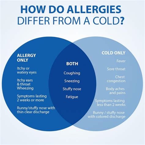 Allergy Season is Here: How to Identify and Treat Your Symptoms ...