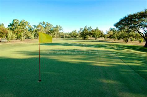 Golf green with flag stock image. Image of elder, business - 2158263