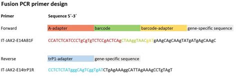 Fig. S1. Schematic Fusion PCR primer design using the example of JAK2 ...