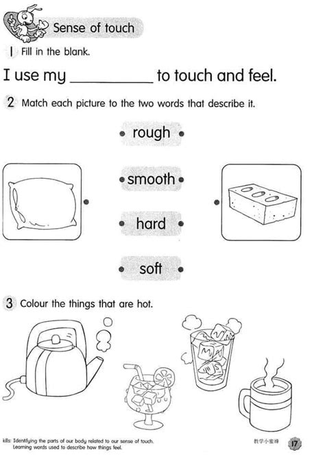 Sense Of Touch Worksheets