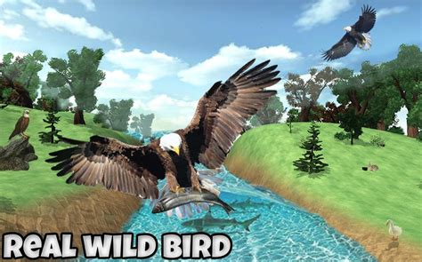 Ultimate Eagle Simulator 3d APK for Android Download