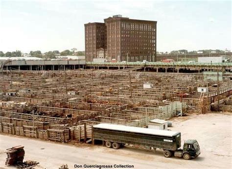 Omaha stockyards 1970s | Visit omaha, Travel nebraska, Omaha nebraska