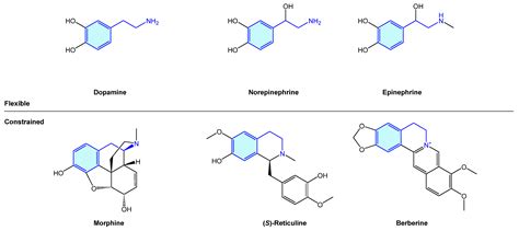 Molecules | Free Full-Text | 2-Phenethylamines in Medicinal Chemistry ...