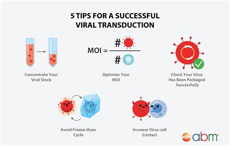 Cell Culture – How to Optimize your Viral Transduction | abm Inc.