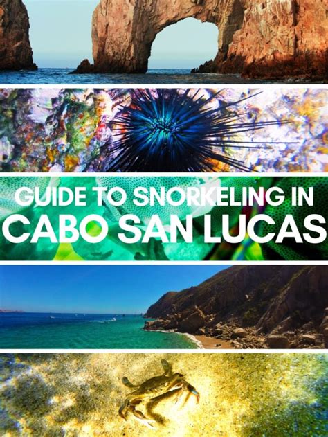 Snorkeling in Cabo San Lucas - 2TravelDads