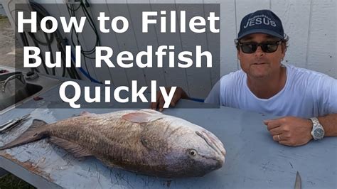 Redfish 101- How to Fillet Bull Redfish Quickly - YouTube