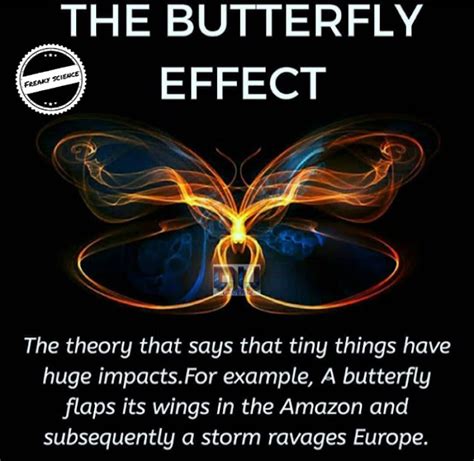 What is butterfly effect?