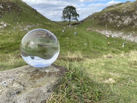 Why You Need to Visit The Robin Hood Tree (Sycamore Gap Tree)