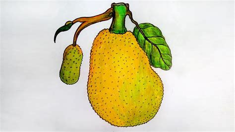 How To Draw Jackfruit Step By Step Very Easy Drawing Youtube – Otosection