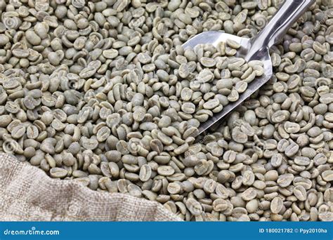 Green Unroasted Coffee Beans Stock Photo - Image of fresh, background: 180021782