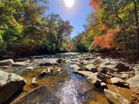 Best 10 Hiking Trails in Rock Creek Park | AllTrails