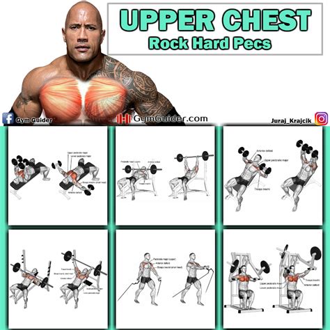 8 Tips With A Guide For Building A Bigger Broader Upper Chest - GymGuider.com | Fun workouts ...