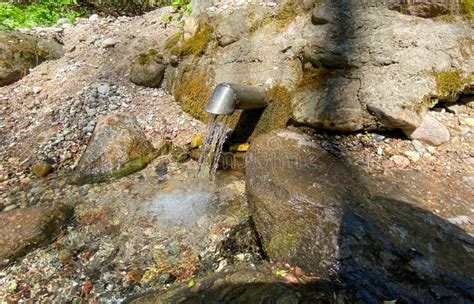 Natural Underground Spring Water Source in Wild Forest Stock Photo ...