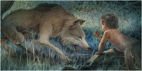 Mowgli's Brothers - Book Graphics