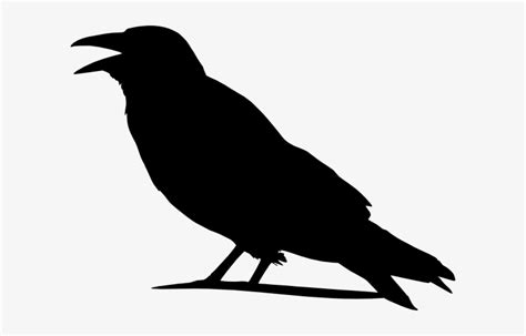 Folk Clipart Crow - Outline Images Of Crow - Free Transparent PNG Download - PNGkey