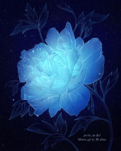 Carezze di seta Blue Roses Wallpaper, Scenery Wallpaper, Nature Wallpaper, Beautiful Fantasy Art ...