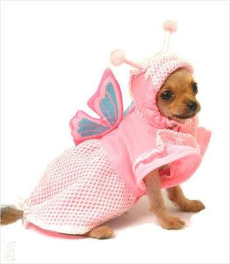 Butterfly Pet Dog Costume Sparkly Pink Wings and Hood for - Etsy