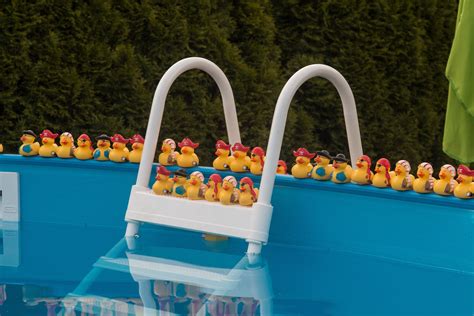 Free Images : water, play, summer, swimming pool, blue, toy, party, toys, refresh, rubber duck ...