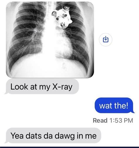 Check Out My X-ray | Got That Dog In Him | Know Your Meme